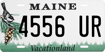 ME license plate 4556UR