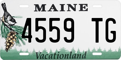ME license plate 4559TG
