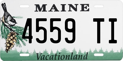 ME license plate 4559TI