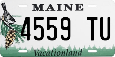 ME license plate 4559TU