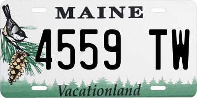 ME license plate 4559TW