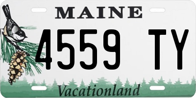 ME license plate 4559TY