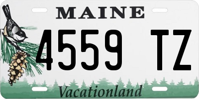 ME license plate 4559TZ