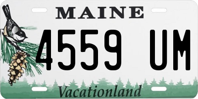 ME license plate 4559UM