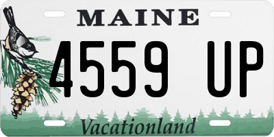 ME license plate 4559UP