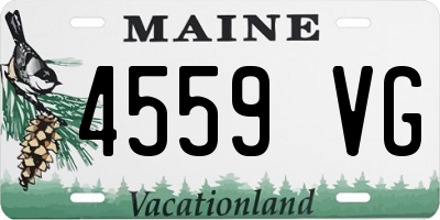 ME license plate 4559VG