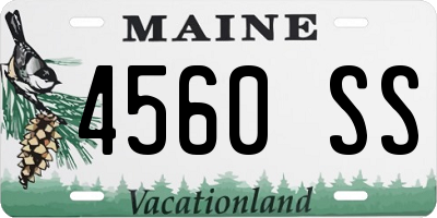 ME license plate 4560SS