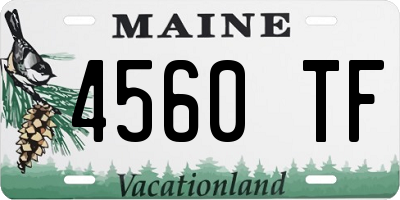 ME license plate 4560TF