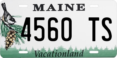 ME license plate 4560TS