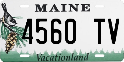 ME license plate 4560TV