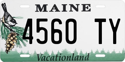 ME license plate 4560TY