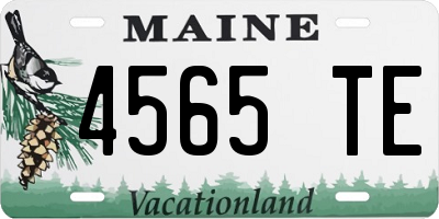 ME license plate 4565TE