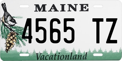 ME license plate 4565TZ