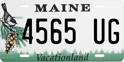 ME license plate 4565UG