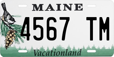 ME license plate 4567TM