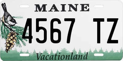 ME license plate 4567TZ