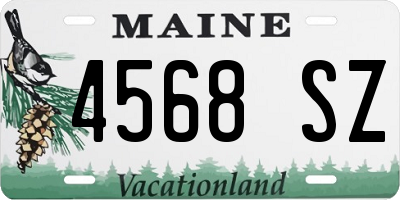 ME license plate 4568SZ