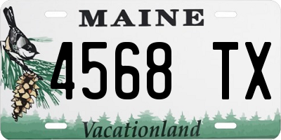 ME license plate 4568TX