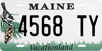 ME license plate 4568TY