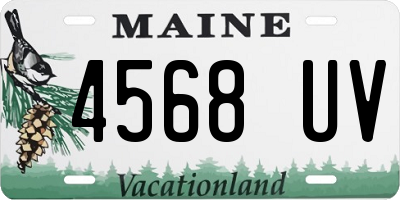 ME license plate 4568UV