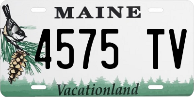 ME license plate 4575TV