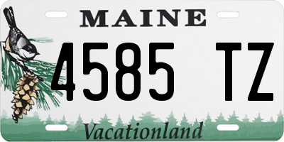 ME license plate 4585TZ