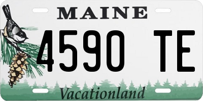 ME license plate 4590TE