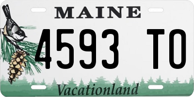 ME license plate 4593TO