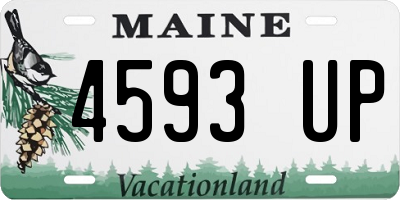 ME license plate 4593UP