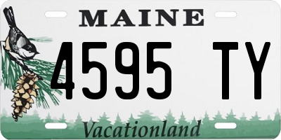 ME license plate 4595TY