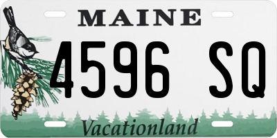 ME license plate 4596SQ