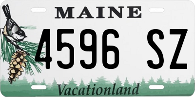 ME license plate 4596SZ