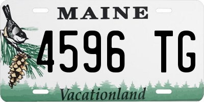 ME license plate 4596TG