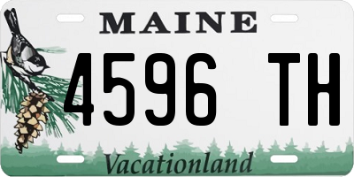 ME license plate 4596TH