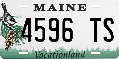 ME license plate 4596TS