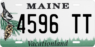 ME license plate 4596TT