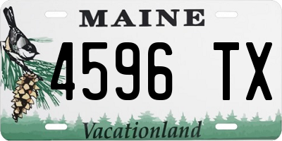 ME license plate 4596TX