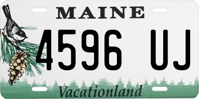 ME license plate 4596UJ