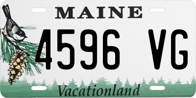 ME license plate 4596VG