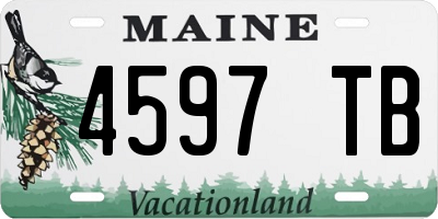 ME license plate 4597TB