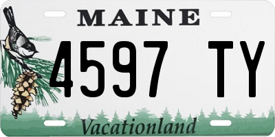 ME license plate 4597TY