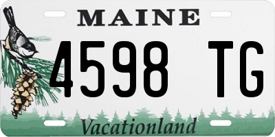 ME license plate 4598TG