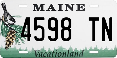 ME license plate 4598TN