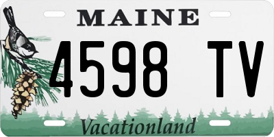 ME license plate 4598TV