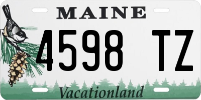 ME license plate 4598TZ