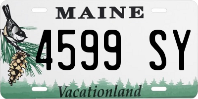 ME license plate 4599SY