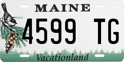 ME license plate 4599TG