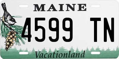 ME license plate 4599TN