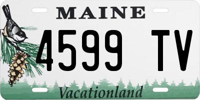 ME license plate 4599TV