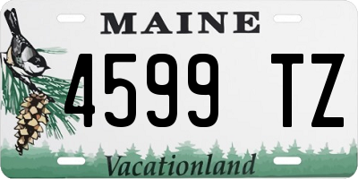 ME license plate 4599TZ